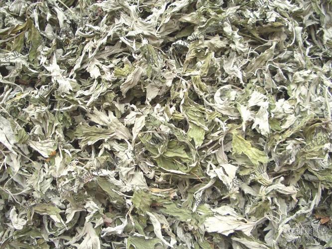 富饶农业植物原药材艾叶艾蒿商品大图