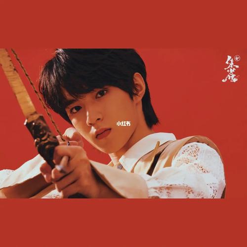 刘耀文|朱雀海报_刘耀文_海报_朱雀海报_娱乐_明星