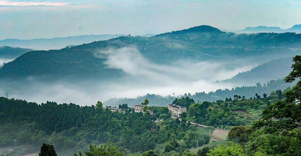 龙泉山城市森林公园生态缓冲区 拟规定建筑高度不超十二米