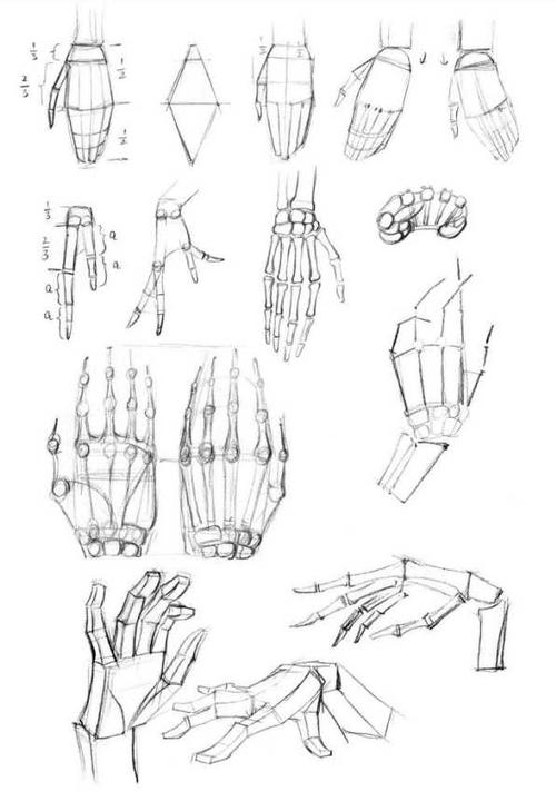 漫画里的手该怎么画?