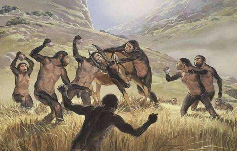 恶劣的自然环境迫使人类先祖(直立人,能人,智人)由脆弱至稳重,可他们