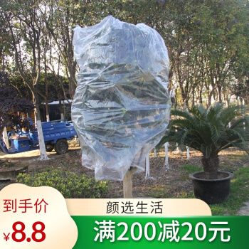 树木防冻保暖罩冬季花草包树130*240特大加厚塑料搬家床垫包装袋 袋口