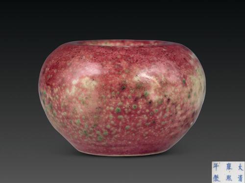 2009清豇豆红苹果尊