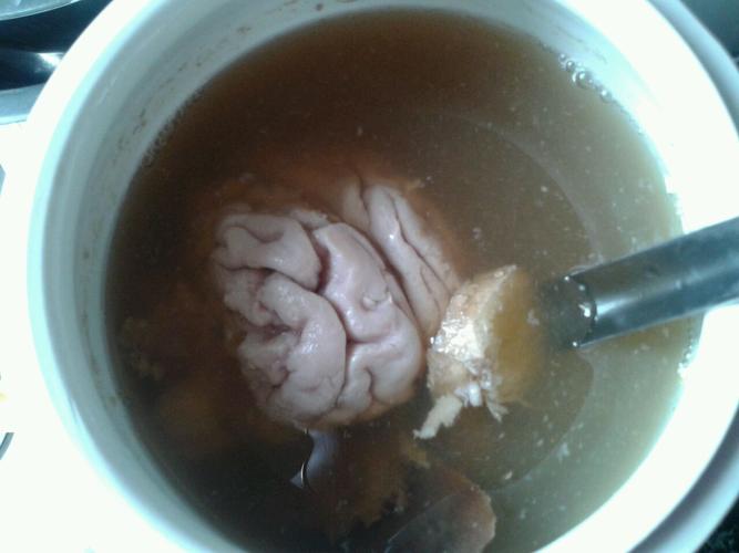 炖猪脑,吃什么补什么