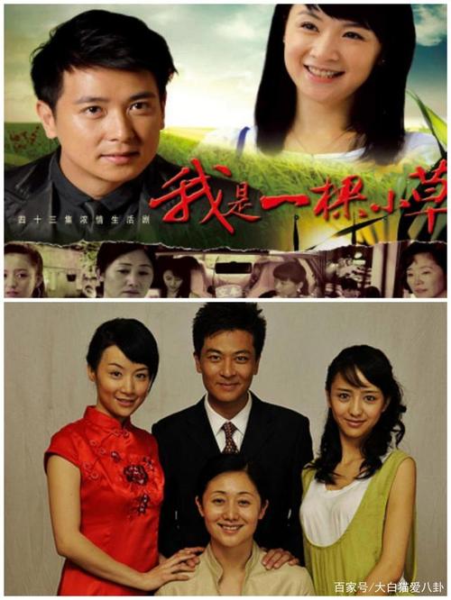 《我是一颗小草》剧照