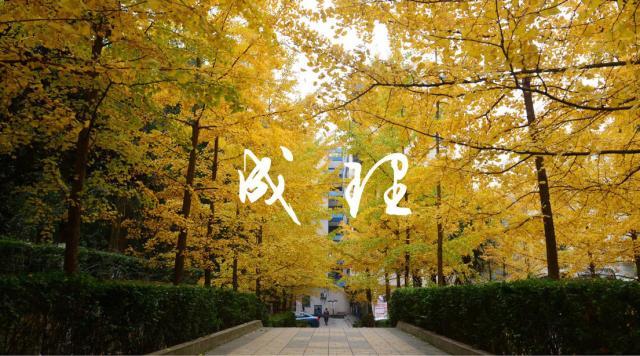 成都理工大学