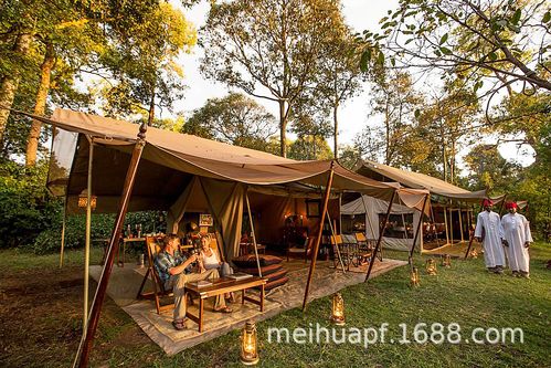 实木帐篷酒店中空玻璃轻奢酒店帐篷豪华民宿户外营地帐篷酒店