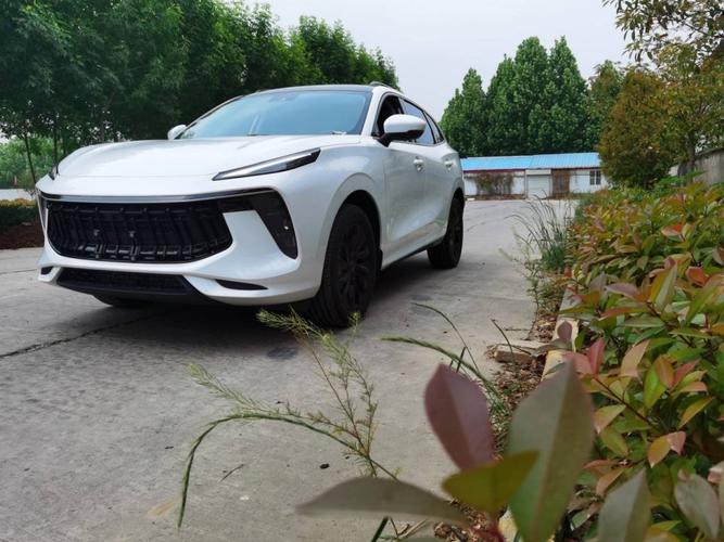 这样的suv好不好东风风行t5evo来报道