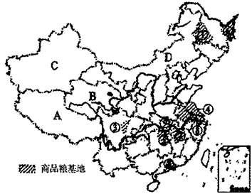 (2)四大牧区中,是我国重要商品棉基地的是_____(填代号及名称),该