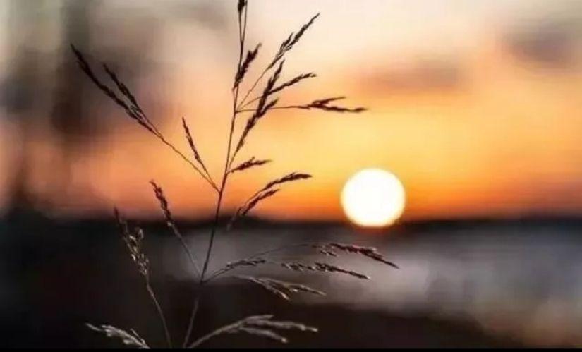 岁月催人老,人生如过客