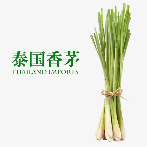 关键词 : 香茅,泰国香茅,柠檬草,调味,香茅