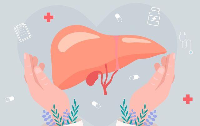 夏季养肝要注意提醒家人尽量少吃3种水果或会损伤肝脏