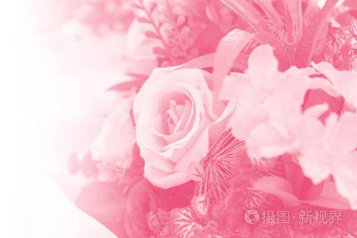 对婚礼情人节爱卡背景软柔和色彩的粉红色玫瑰花