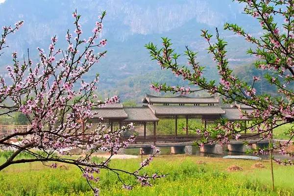 忽逢桃花林,夹岸数百步,中无杂树,芳草鲜美,落英缤纷."