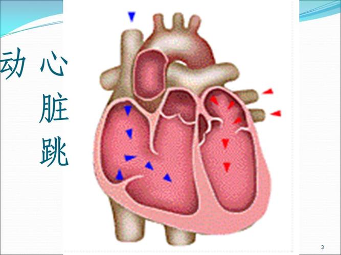 急性左心衰竭.ppt