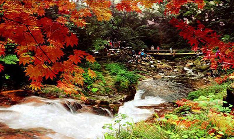 辽宁| 本溪 关门山大峡谷