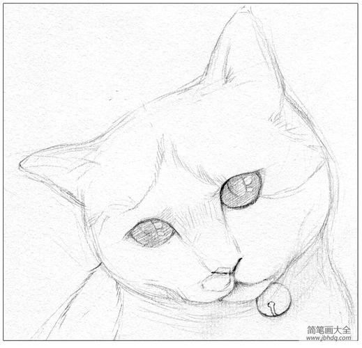 零基础学素描猫咪素描步骤详解