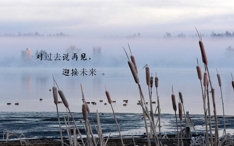 再见过去,未来你好