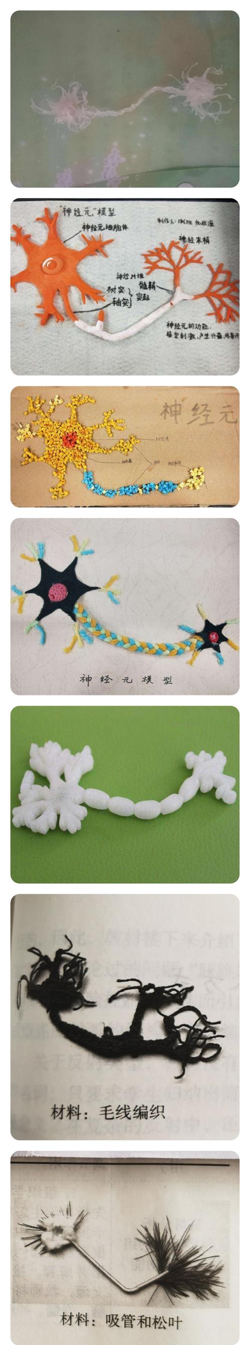神经元模型欣赏