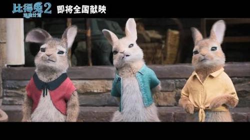 比得兔2逃跑计划百度云免费在线观看泄露版1080p中字完整资源已更新