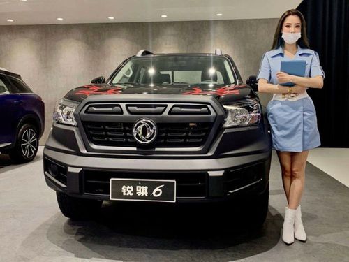皮卡车的细分市场上,比较有实力的还是长城汽车,但是东风品牌 锐骐6