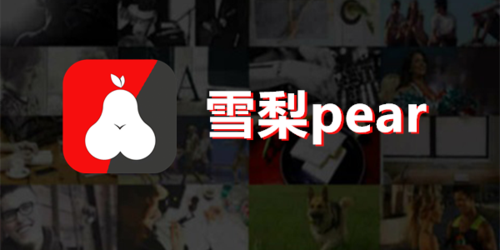 雪梨pear