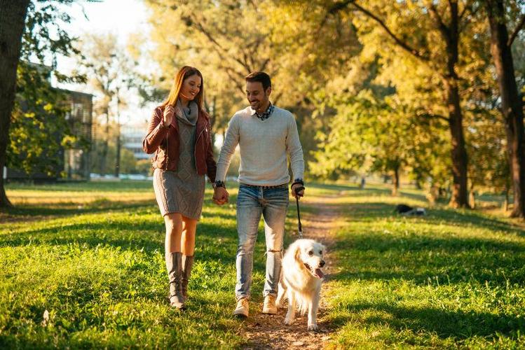 恋爱中的情侣在公园里开心的嬉戏