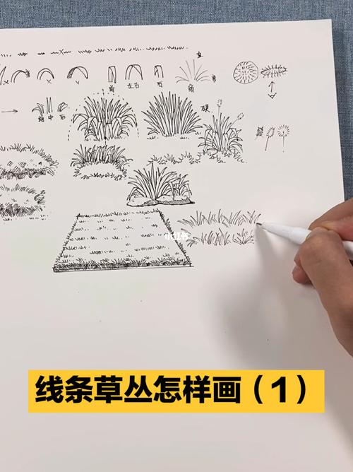 一起画画吧,线条草丛怎么画(1)_绘画_赤峰市攻略_绘画