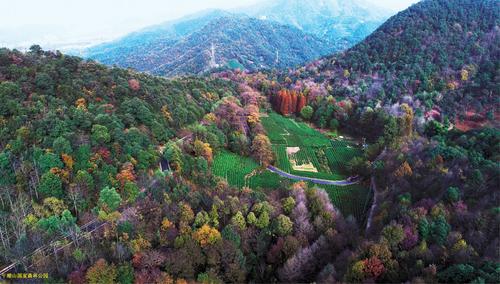 午潮山国家森林公园
