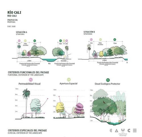 【景观分析图】竖向分析和植物分析的做法_设计_文化