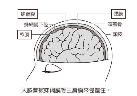 以意识障碍为首发症状的蛛网膜下腔出血6例临床报道