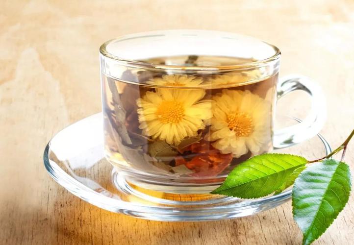 普洱菊花茶
