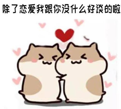 仓鼠表情包:我们的友谊走到尽头啦