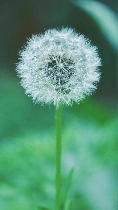 临夏这组"最夏天"的壁纸,全部都要用一遍!_屏保