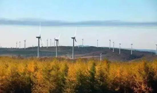5万公顷,是中国北方最大的国家级森林公园,共有6大景区104个景点.