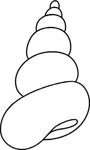 右旋海螺简简笔画