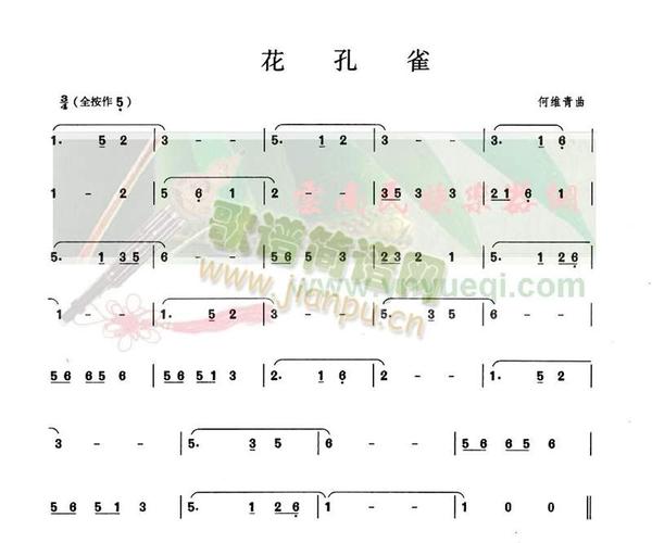 花孔雀 歌谱简谱网