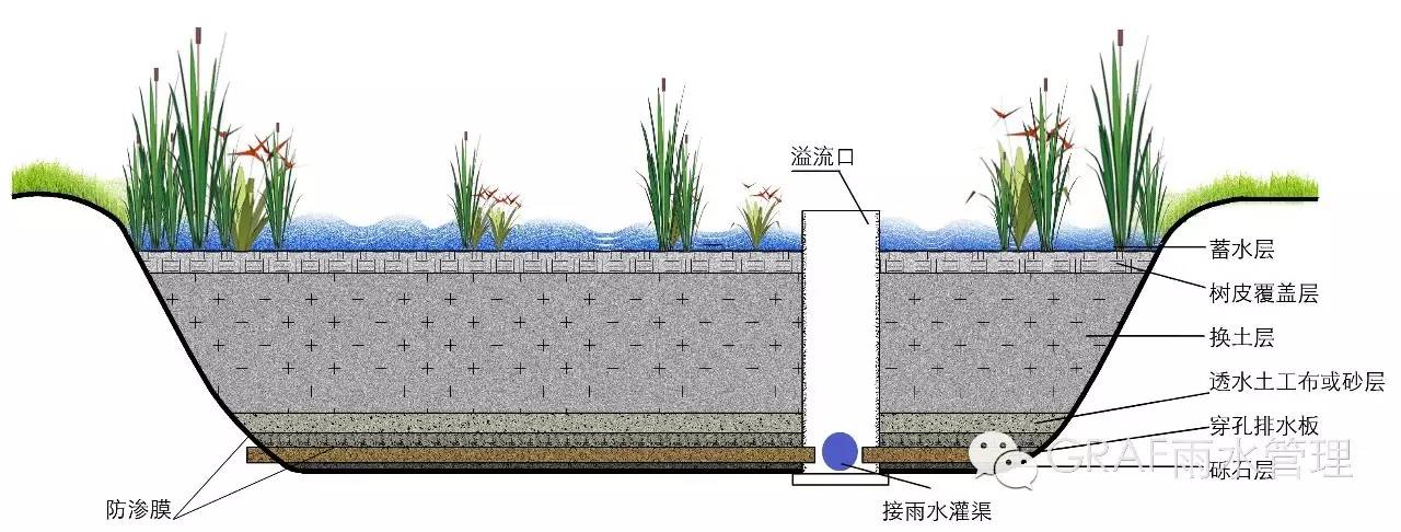 [分享]"雨岛效应"解决有高招:绿色屋顶,下沉式绿地,生物滞留.