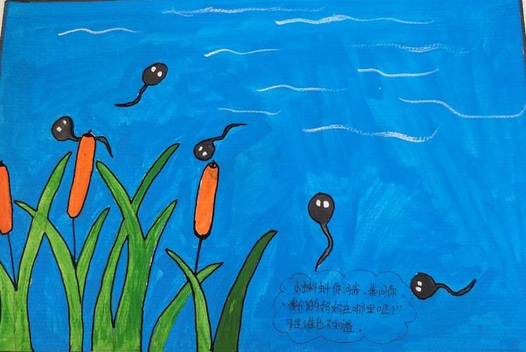 小蝌蚪找妈妈绘本故事图片