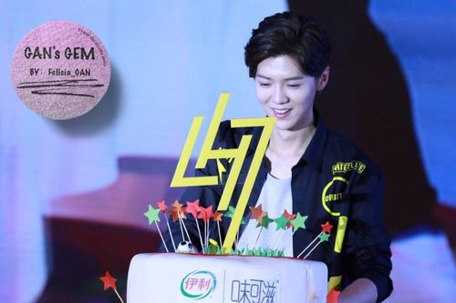 鹿晗～鹿晗生日季-伊利味可滋见面会20160416