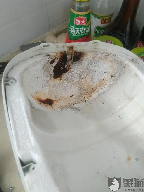 黑猫投诉:海尔厨宝内胆生锈漏水