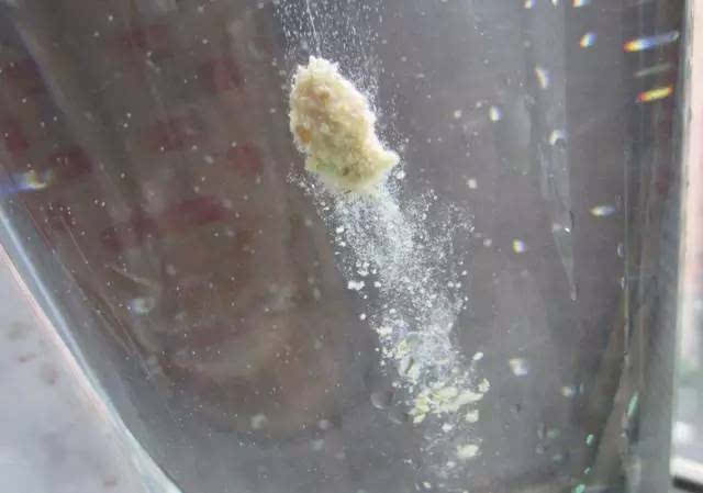 雪花粉的作用及4个使用技巧,渔人必知!