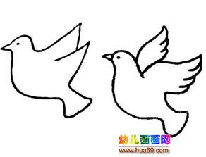 幼儿和平鸽简笔画画法简笔画和平鸽的画法步骤飞翔的和平鸽儿童简笔