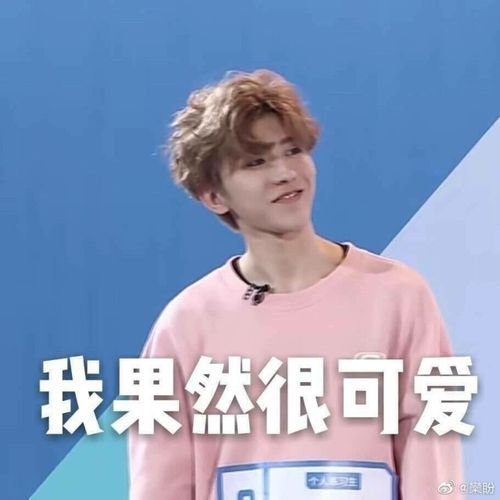 坤坤的沙雕表情包