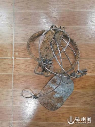 男子上山找蜜蜂 不慎踩中捕兽夹