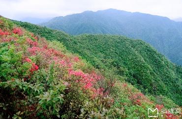 景点天气 > 六春湖景点天气预报    六春湖生态漂流是由龙游诚宇旅 