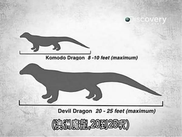科摩多龙和古巨蜥澳洲魔龙的体型对比