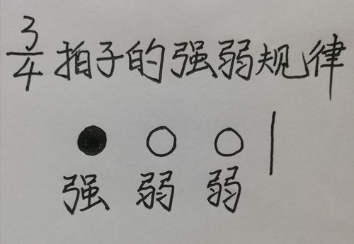 二,四三拍子的强弱规律及指挥图式