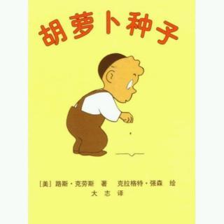 一年级胡萝卜种子手抄报 一年级手抄报