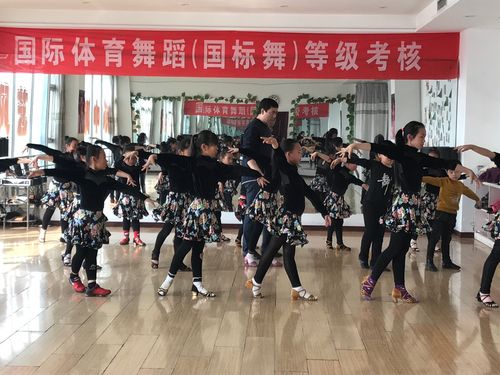 乐风艺术学校春季招生:舞蹈,器乐,美术,书法,语言表演,艺术类高考.